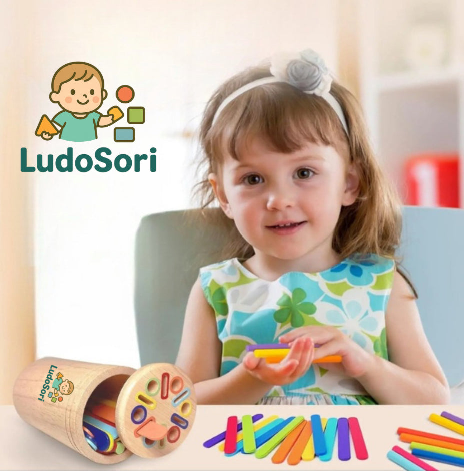 Jouet d'apprentissage en bois (2-5ans)